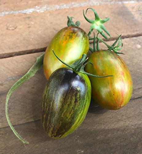 Atomic Grape Heirloom Tomato Premium Seeds for Planting Packet