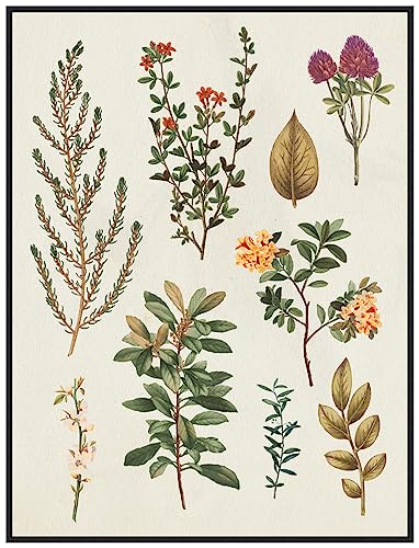 Amanti Art Framed Canvas Wall Art 42x32 Victorian Garden III Autumn Crop II by Wild Apple Portfolio, Framed Wall Art Canvas, Flowers Artwork, Modern Decor, Oversize Poster Painting for Living Room,