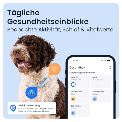 Tractive GPS Tracker Hund | 2025 Edition | Live-Ortung | Weglaufalarm | Aktivitätstracking | Gesundheitswarnungen | Bellverhalten | Empfohlen von Martin Rütter (Mint)