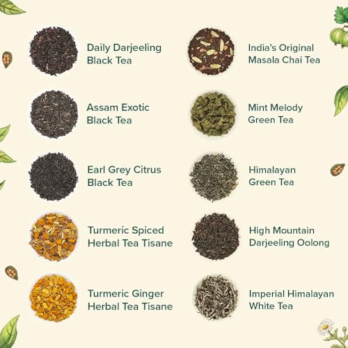 Image of VAHDAM, Assorted Loose Leaf Chai Tea Sampler (10 Flavors, 50+ Servings) | Indian Exotic Masala Chai Tea Blends | Resealable Ziplock Pouch | Vacuum Sealed For Freshness