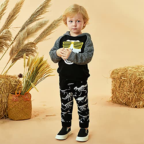Image of HINTINA Baby Boys Dinosaur Long Sleeve Hoodie Tops Sweatsuit Pants Winter Outfit Set