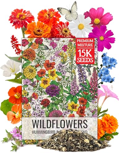 Seed Needs Flower Seeds Hummingbird and Butterfly Seed Mix 1 Ounce No Filler | 23 Varieties Garden Seeds Annual & Perennial Species | Pollinator Attracting Flowering Seed | Bulk Resealable Package