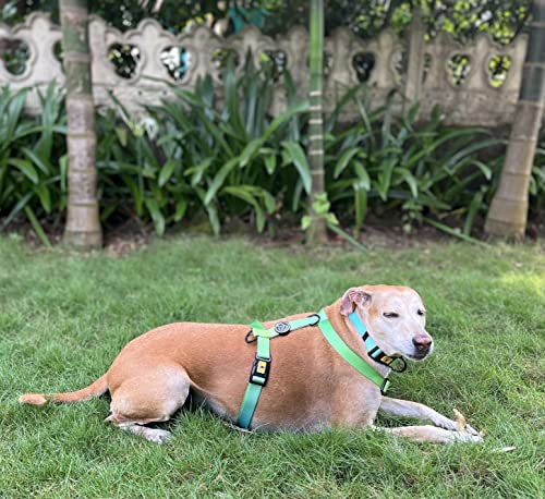 Image of A+a Pets' Gradient' Collar for Dogs & Cats | Waterproof Adjustable for All Breeds (Green, S)