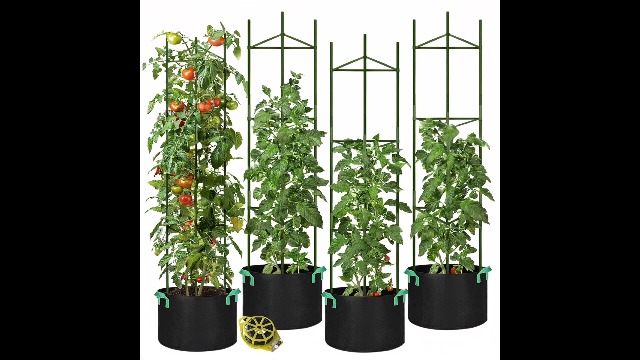【新品】Hang out GRNT Plants Statnd 650&440 48387846.jpg