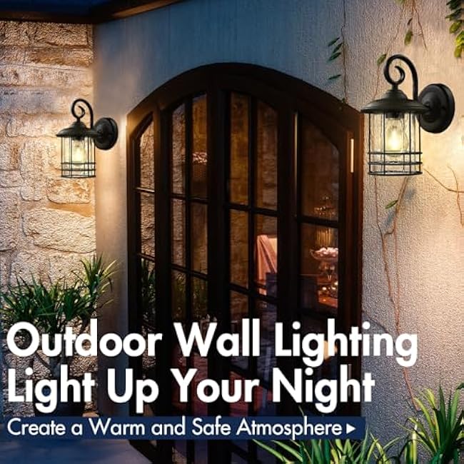 Emliviar 1-Light Outdoor Wall Lantern Black Finish OS-1803CW1