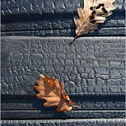 Öl Pure Tung 1L| Schutz und Pflege für Holz im Innen- und Außenbereich, auch mit Lebensmittelkontakt | wie z.B. Gartenmöbel, Arbeitsplatte, Terrasse, Küche, Schneidebretter, Teakholz, Parkett