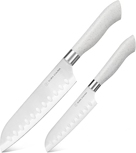 EcoCut - Juego de cuchillos Santoku de 2 piezas, cuchillas de acero inoxidable de alto carbono, asas ergonómicas sostenibles, cuchillos ecológicos