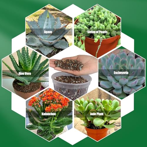 Omitgoter Succulent & Cactus Soil Potting Mix 2qt, Natural Organic Potting Mix for Cactus, Succulent, Palm, and Citrus Grown in Containers Indoors and Outdoors