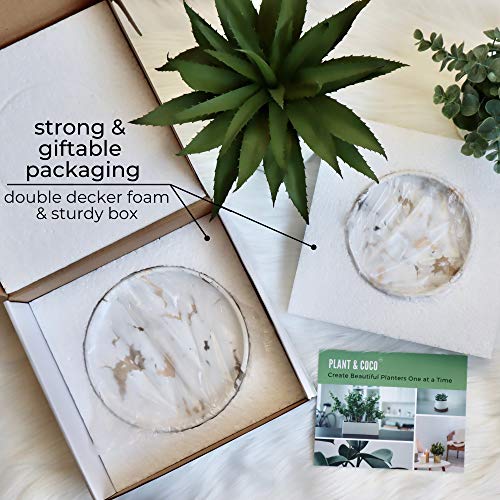 Simply Rsb Ceramic Plant Saucer | Plant Trays For Indoors | Drip Tray | Plant Pot Saucers (4In + 6In, White And Gold) #TOP5