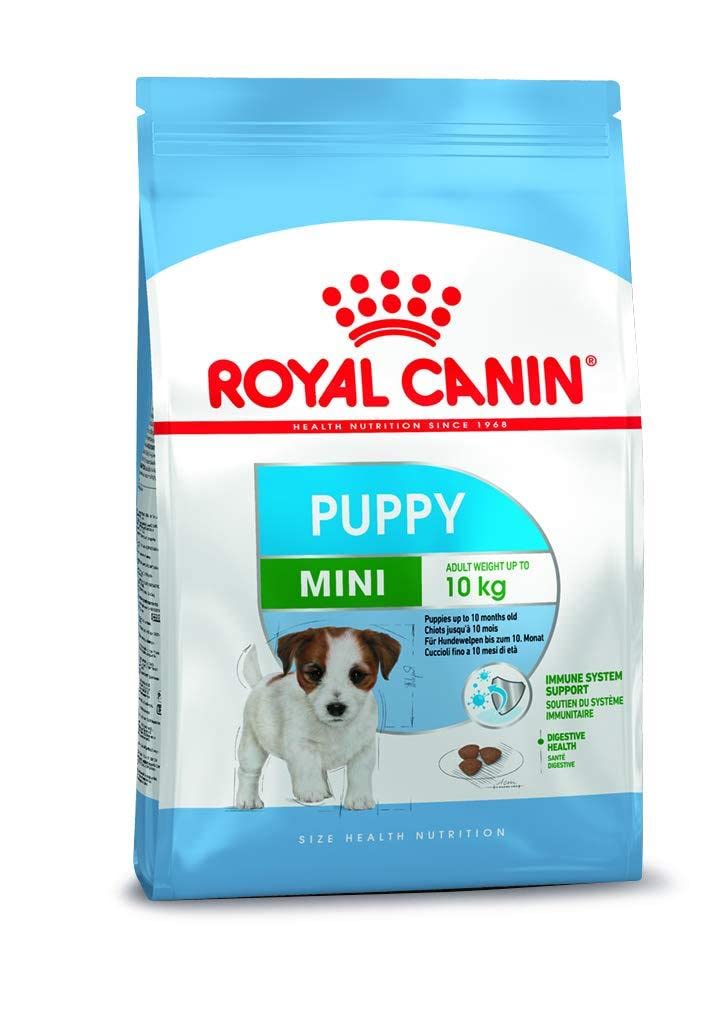 Royal Canin Mini Puppy | 2 kg | Pienso para Perros pequeños | Peso Final hasta 10 kg | hasta 10 Meses de Edad | para Las defensas del organismo y el Desarrollo del Cerebro
