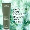 Aveda Botanical Kinetics Radiant Skin Refiner | Clay-Based Facial Scrub | Exfoliates & Energizes Skin | with Tourmaline, 3.4 Fl Oz