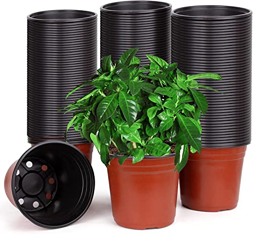 Catekro Macetas para plantas Nursery Pot, 200 unidades de 4 pulgadas de plástico para semillas de enfermería, macetas para plantas de plantas suculentas, semillas, trasplanting Ø9,7 x 8,7 cm