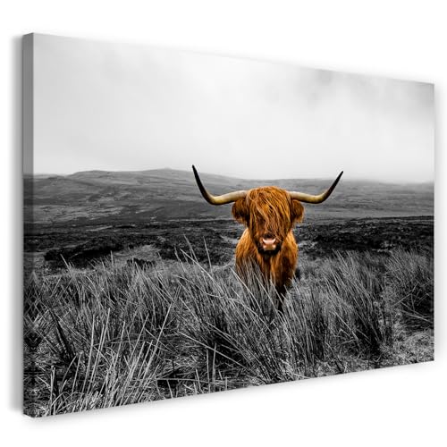 Cadre bois véritable avec crochet et grande toile vache des Highlands 120x80