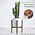 Sophia Mills Mid Century Plant Stand - Solid Wood Item Stand Handmade with Acacia - Fits Medium & Large Pots Sizes 8 to 12 inches (Not Included) (Adjustable Width: 8-12 inches, Dark Brown)
