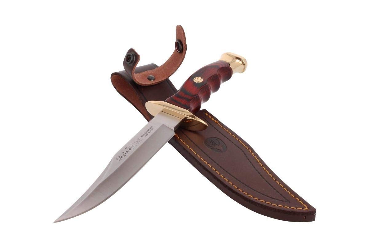 Muela Cuchillo de caza BW-16 con hoja de acero inoxidable ACX-380 de 16 cm y empuñadura de madera de coral para Caza, Pesca, Supervivencia y Bushcraft + Portabotellas de regalo