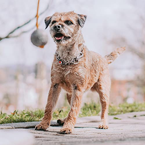 Sprenger Kettenhalsband für Hunde aus Edelstahl mit Haken und Zugbegrenzung I Hundehalsband m mit extra Langen Kettenglieder 3mm, fellschonend, 40 cm