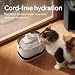 PETLIBRO Cat Water Fountain
