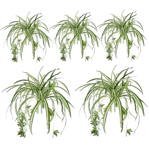Planta de araña artificial de imitación con bordes dorados de 5 piezas 2