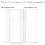 Ver la foto 6