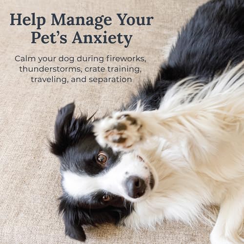 Yogasleep Pawzz White Noise Machine for Dogs