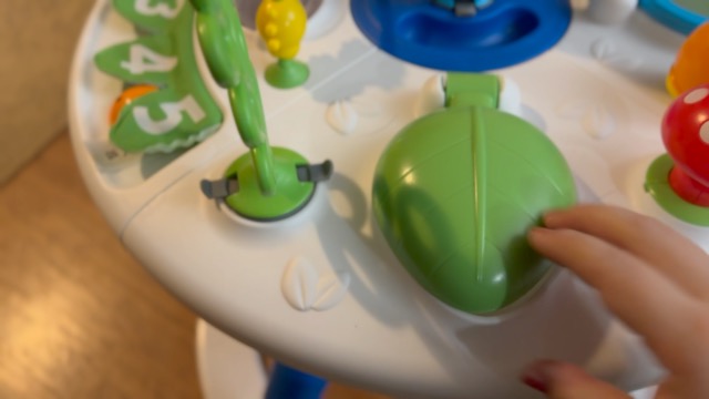 Watch Baby Einstein 4-in-1 Around We Grow Activity Walker REVIEW