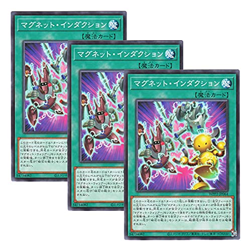 y 3Zbg zVY { WPP2-JP064 Magnet Induction }OlbgEC_NV (m[})