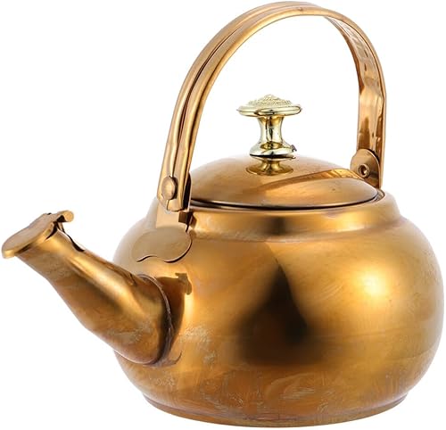 Hemoton Hervidor de té de acero inoxidable tetera de agua caliente hervidor de agua caliente con asa olla de gas hervidor de metal olla de café