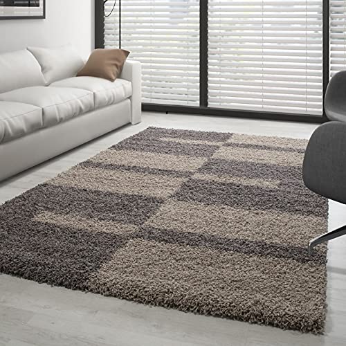 Tapis Shaggy taupe et beige à poils longs 3 cm pour grand salon moderne