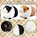 Imagen de VyxStelyndric 2 Peluches de cobayas Dulces: Peluches realistas de cobayas