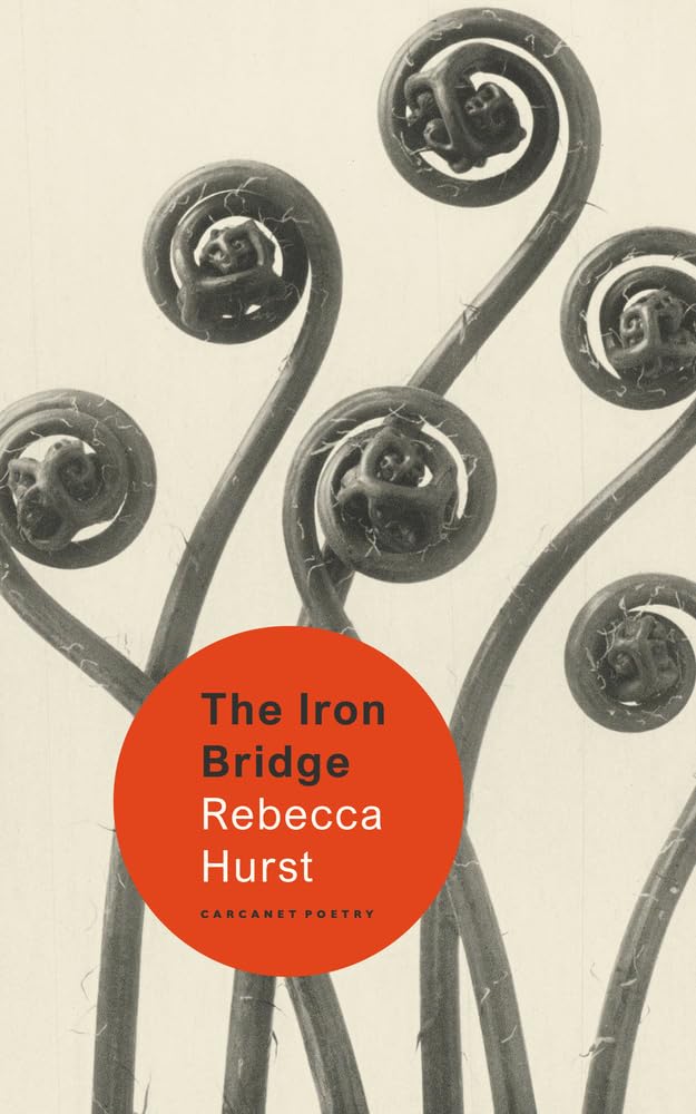 The Iron Bridge.by Hurst  New 9781800173941 Fast Free Shipping**
