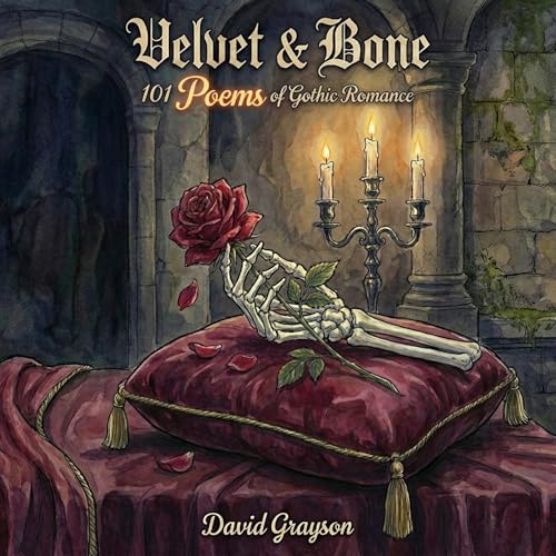 Page de couverture de Velvet & Bone