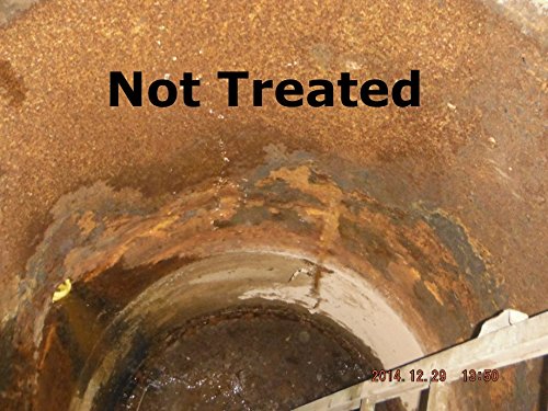 Outdoor Boiler Water Treatment Rust Inhibitor- Protech 300 1 Gallon 128 Oz #TOP5