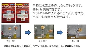 【新品・未使用】HYDROGENハイドロゲン/上下セット【オレンジ×ネイビー】 New Color】ZIONIC NXT MID WP / ザイオニック エヌエックス