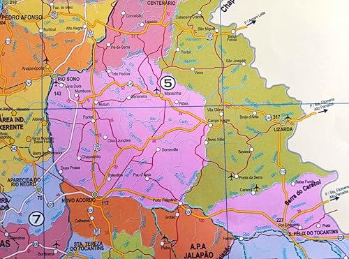 MAPA/POSTER DO ESTADO DO TOCANTINS - DIMENSÕES: LARGURA 89 CM X ALTURA 117 CM