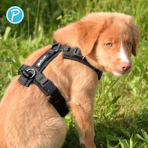 Petlando Hundegeschirr gepolstert, Mesh Y-Comfort, weich, stufenlos verstellbar, besonders leicht & atmungsaktiv, fellschonend, ergonomisch, Brustgeschirr für mittelgroße Hunde, Schwarz, M