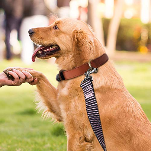 Image of Hi Kiss Dog /Puppy Obedience Recall Training Agility Lead - 15ft 20ft 30ft 50ft 100ft Training Leash - Great for Training, Play, Camping, or Backyard(50ft,BL+PK)