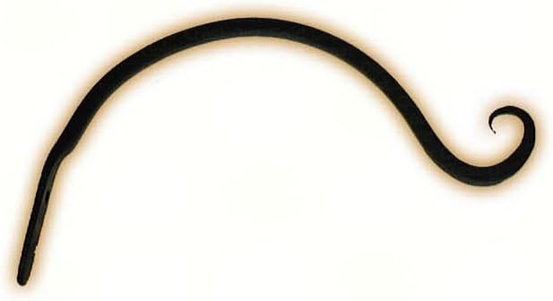 Curved Hanger Upturn Hook - A-13 - Bci