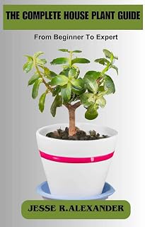 THE COMPLETE HOUSE PLANT GUIDE: From Beginner to Expert