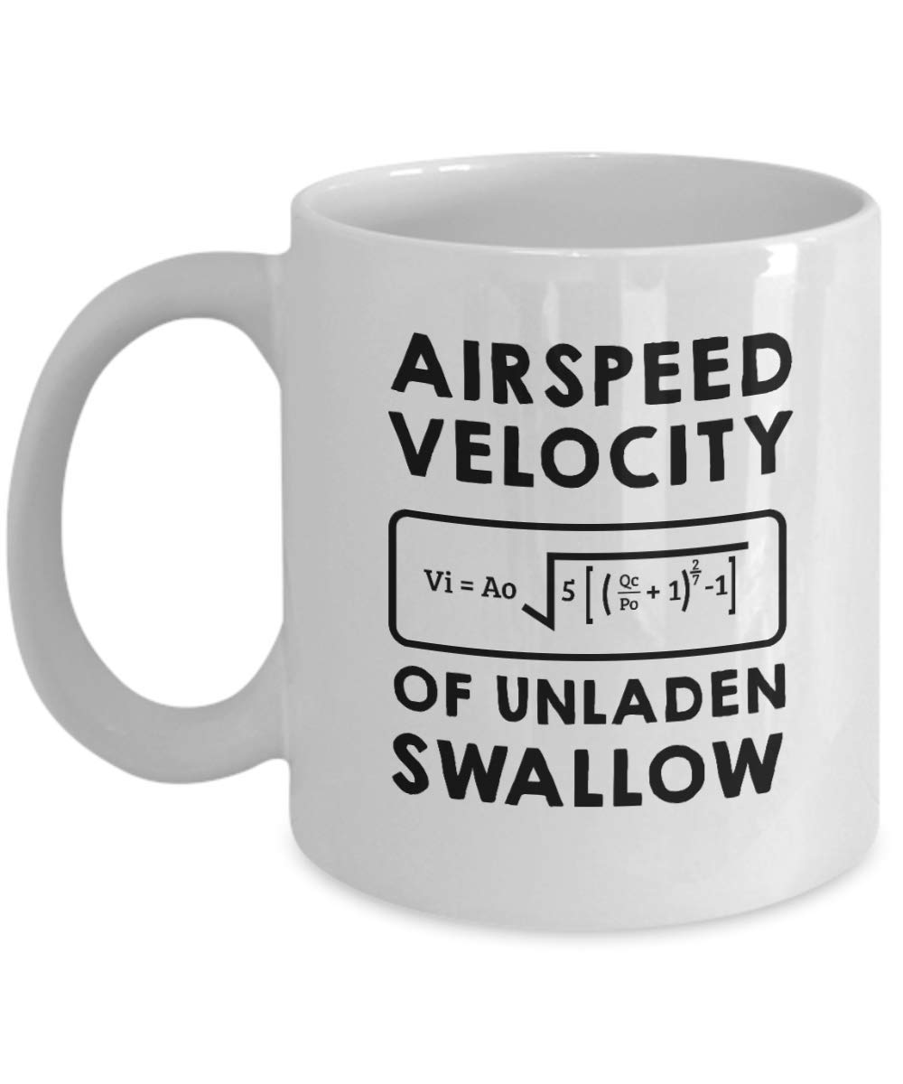 Funny Birthday Unique Gifts for Math Lovers — funny ceramic mug from ShopProudGifts