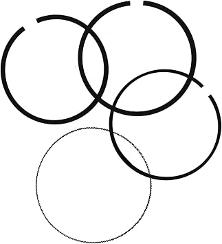 Piston Rings Set Fit For Sea Doo 1503 130 155 215 255 260 4TEC RXP RXT Supercharged Rotax