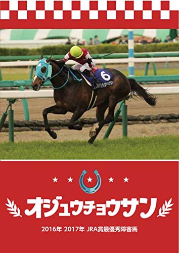 17年 第140回 中山大障害 J G オジュウチョウサン ニコニコ動画