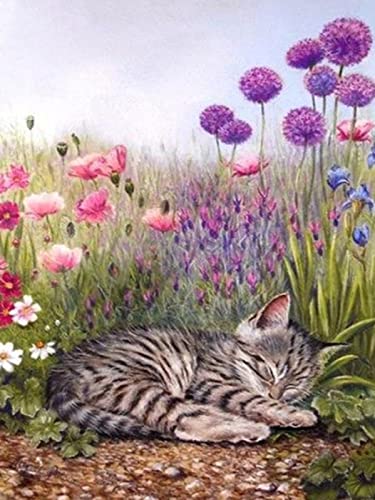 Kit d'art Diamant Fleur de Chaton, Idée Cadeau Amusant pour Adulte