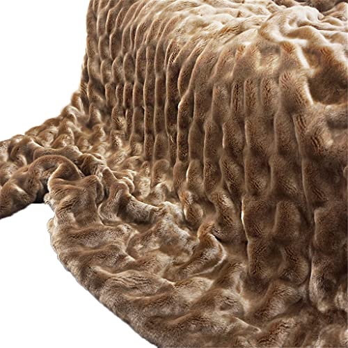 HLDETH Espesar Manta for Dormir Sala de Estar sofá Cubierta Manta cómoda y cálida Manta de Peluche Tapiz Manta Decorativa (Color : A, Size : 150 * 200cm) Cover