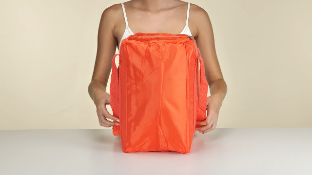 Borsa Termica Fiesta Verticale 25L - Ideale Per Picnic E Spiaggia, Spallacci Imbottiti, Isolamento 5mm, Colori Assortiti - Foto 10