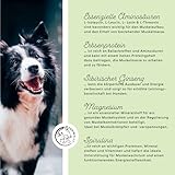 Annimally Amino Boost Muskelaufbau Tabletten für Hunde - 120 Aminosäuren Tabletten mit 9 Inhaltsstoffen u.a. mit Protein & Magnesium zum gezielten Aufbau der Muskulatur bei Hunden