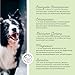 Annimally Amino Boost Muskelaufbau Tabletten für Hunde - 120 Aminosäuren Tabletten mit 9 Inhaltsstoffen u.a. mit Protein & Magnesium zum gezielten Aufbau der Muskulatur bei Hunden