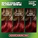Clairol Natural Instincts Bold Permanent Hair Dye, R56 Achiote Auburn Hair Color, Pack of 1