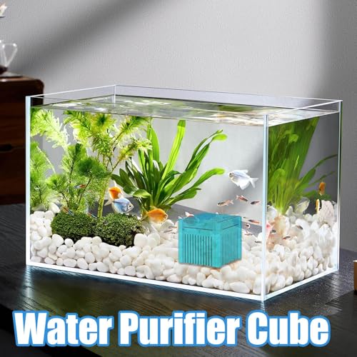 Filtration charbon actif aquarium eau de mer et douce avec cube noir