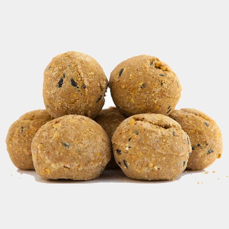 Boules de suif Harrisons sans filets pour oiseaux du jardin en lot de 12