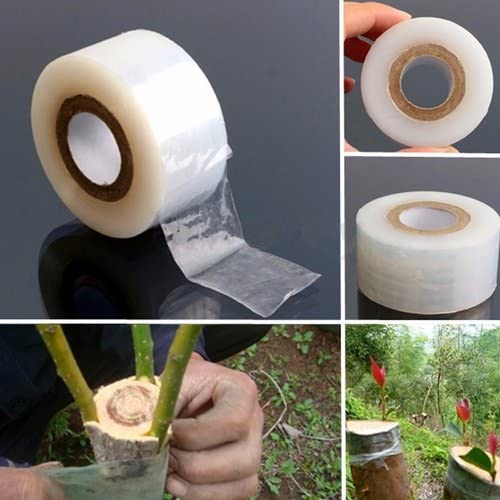 AR 1 inch x 100meter Grafting Stretchable Tape for Nursery and Garden, Biodegradable Plant Repair Tapes Self-Grafting Clear Film for Fruit, Floral, Tree and Plants Grafting Film Tool (2) 1